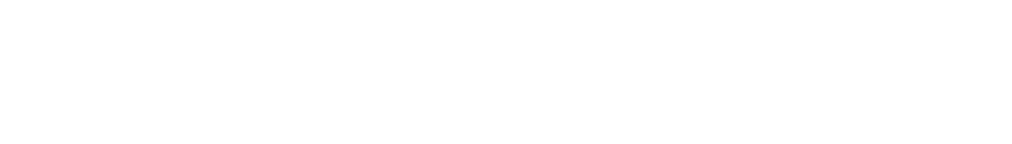 Strenthening Organizations. Administrative Excellence. Satiated Artists